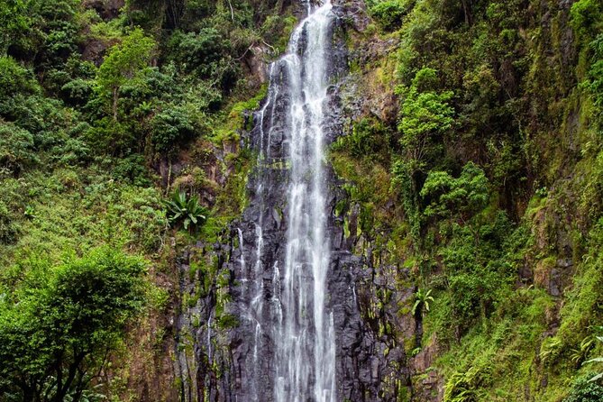Half-Day Private Tour to Materuni Waterfalls and Coffee Excursion - Meeting and Pickup Details