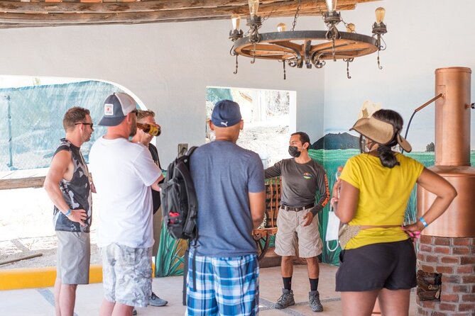Half-Day San José Del Cabo Zip Line and Rappel Adventure - Booking Information