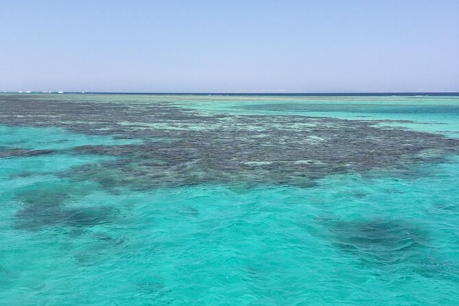 Half Day Snorkeling Trip in Ras Mohammed Sharm El Sheikh - Participation Requirements