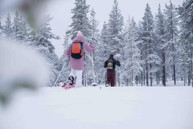 Half Day Snowshoe Hiking Adventure in Levi Lapland - Participation Requirements