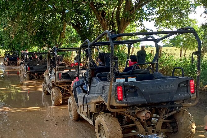 Half-Day TerraCross Adventure in Punta Cana - Customer Feedback Highlights
