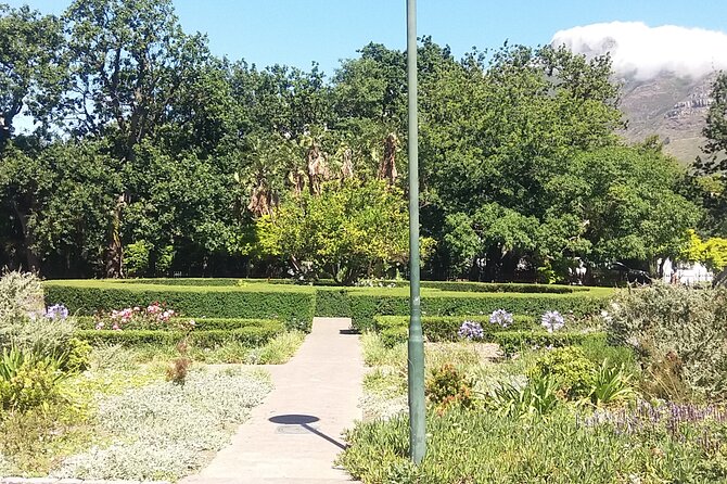 Half-Day Tour of Cape Town City - Traveler Experiences and Feedback