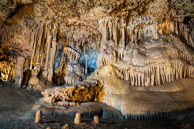Half Day Tour to Dinosaur Land in Mallorca - Tour Schedule