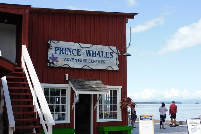 Half-Day Whale Watching Adventure From Telegraph Cove - Customer Experiences