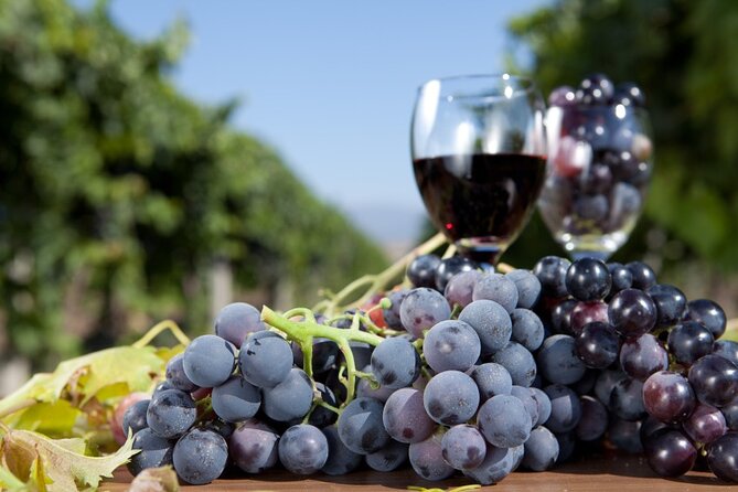 Half-Day Wine Tastings in the North Georgia Mountains - Tour Guide and Reviews