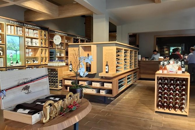 Half Day Wine Tour to Concha Y Toro From Santiago Seasonal Offer - Seasonal Offer
