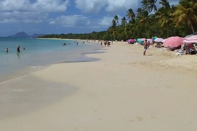 Half South The Salines & Shopping - Operator Responses