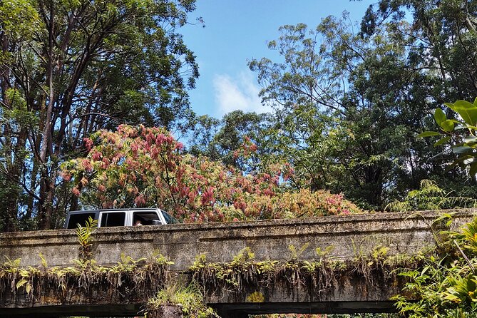 Halfway to Hana Tour of Maui Black Sand Beach Waterfalls Turtles - Health and Fitness Requirements