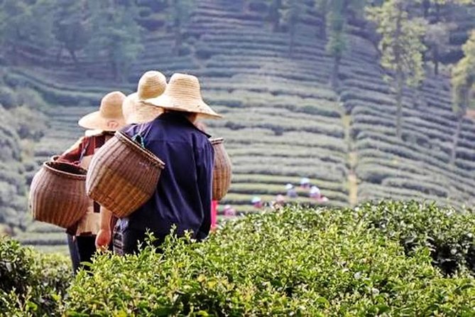 Hangzhou Private Flexible Day Tour With West Lake Boat Cruise - Inclusions and Exclusions