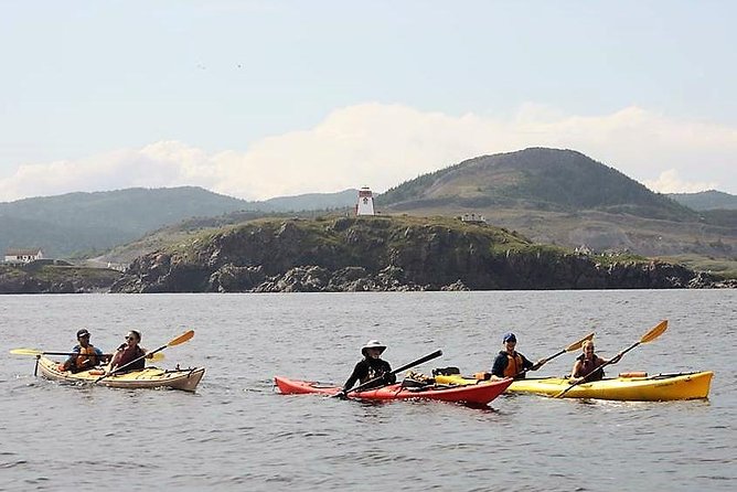 Harbour Kayak Tour - Guided Kayak Experience
