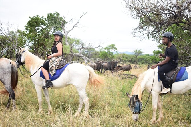 Harties Horse Trail Safari Half Day - Booking Information