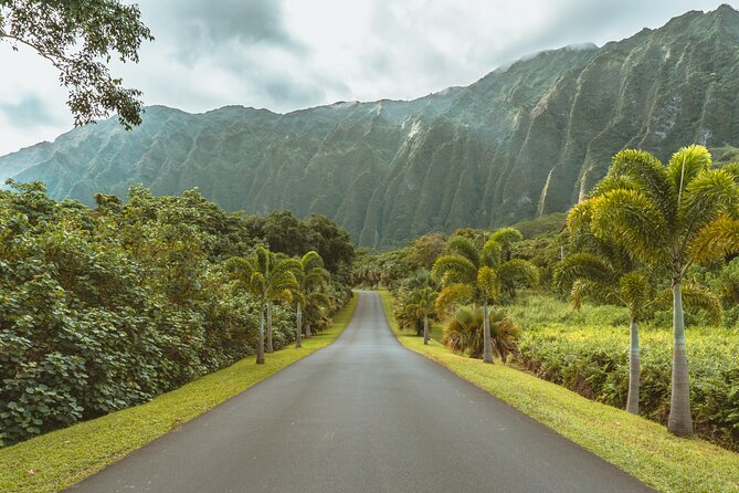 Hawaii, Oahu 1-Day Local Tour - Traveler Experiences and Tips