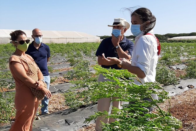 Healthy Eco-Finca and Pine Forest Experience - Farm and Pine Forest Visit