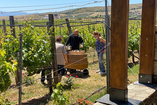 Heraklion Private Half-Day Wine Tasting Tour in Lyrarakis Winery - Exploring Local Gastronomy and Culture