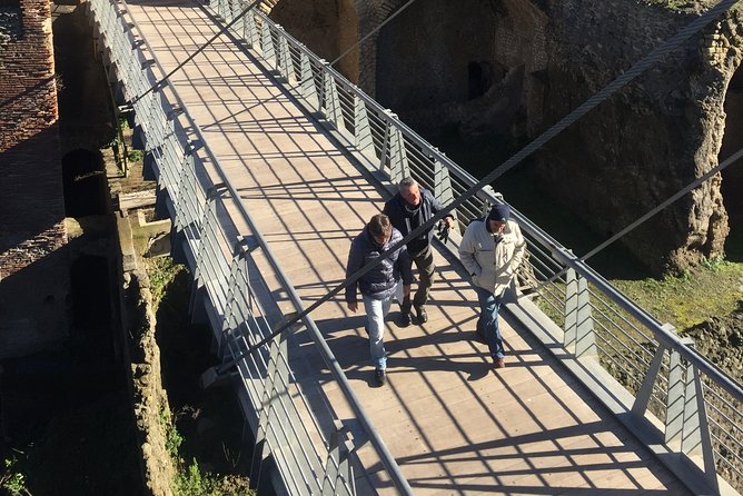 Herculaneum Private Walking Guided Tour 2 Hours - Accessibility and Participation