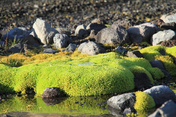 Highlights of Iceland / Private Guided Super Jeep Tour - Customer Support