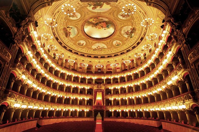 Highlights of Milan Private Guided Tour: Duomo, La Scala Theatre & Sforza Castle - Accessibility and Recommendations