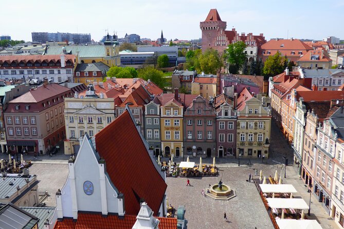 Highlights of Poznań Private 2 Hour Tour With a Local Guide - Accessibility Features