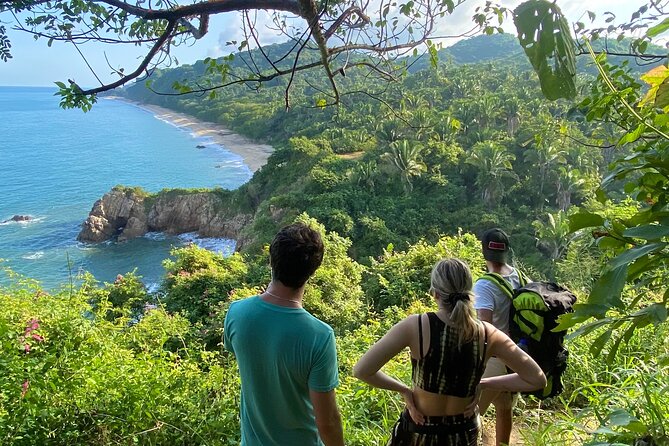 Hike and Yoga Jungle Experience in Mexico - Yoga Session Under Palms