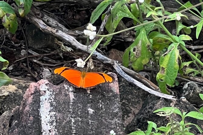 Hike Goto Flamingo Meer Trail & Explore North Bonaire - Health Precautions