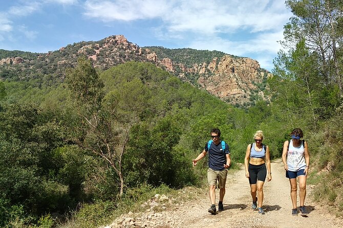 Hike to Spectacular Lookout of Órganos De Benitandús - Meeting and Pickup