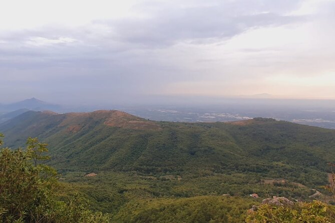 Hike to the Sky, Meditate and Eat Delicious Grandma Food. - Indulge in Grandmas Homemade Delicacies