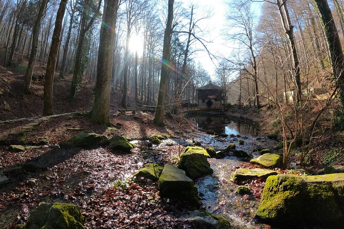 Hiking Medvednica & Medvedgrad Castle - Private Tour Experience
