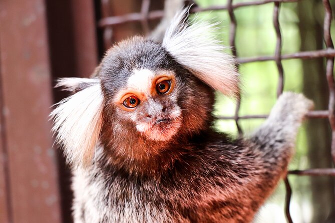 Hiking to Vallarta Botanical Garden. | Travel Buddies