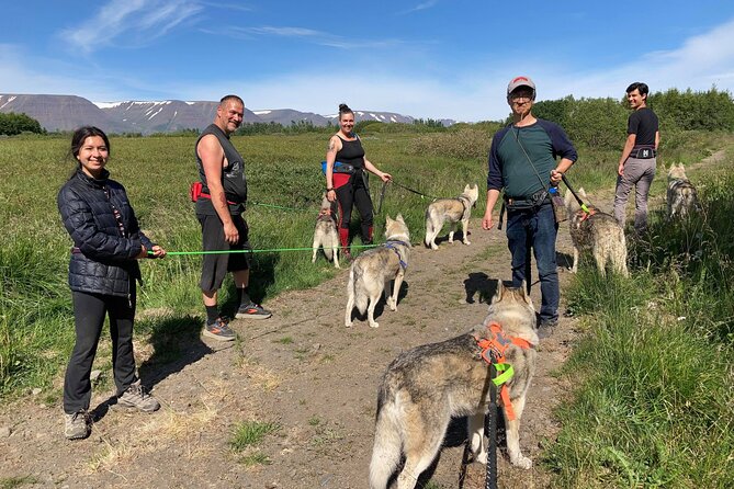 Hiking With Husky in Akureyri - Caring for the Huskies