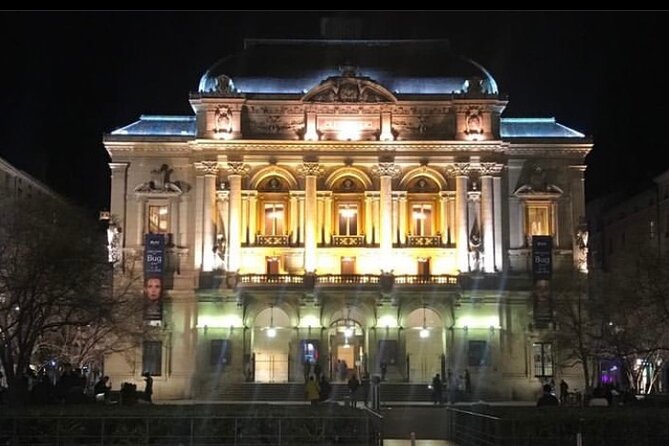 Historic Lyon Private Tour Review - Accessibility and Participation