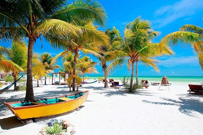 Holbox Island Full Day Trip With Lunch From Playa Del Carmen - Positive Customer Feedback