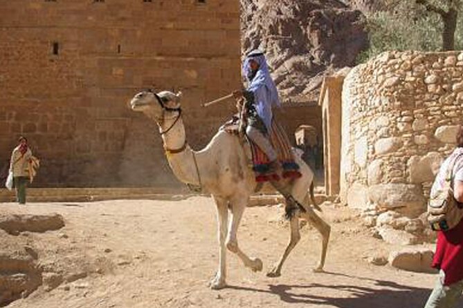Holy Mount Sinai Climb & St Catherine Monastery - Meeting and Pickup Arrangements