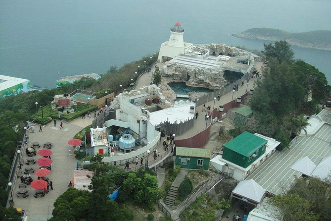 Hong Kong Private Full-Day City Tour - Health and Safety Guidelines