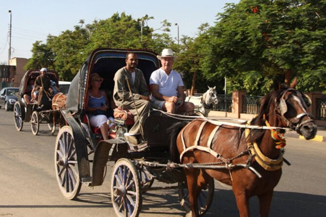 Horse Carriage City Tour in Luxor City With Meal and Soft Drink - Pricing and Cancellation