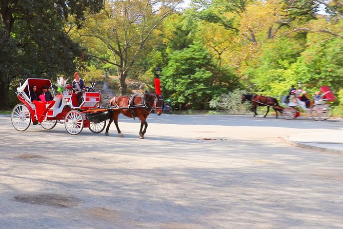 Horse Carriage Ride To/From Tavern on the Green (Up to 4 Adults) - Booking and Cancellation Policy