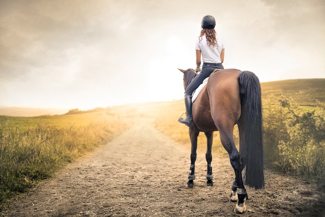 Horse Ride in the Mugello (Transfer From / to Florence) and Tuscan Aperitif - Culinary Delights