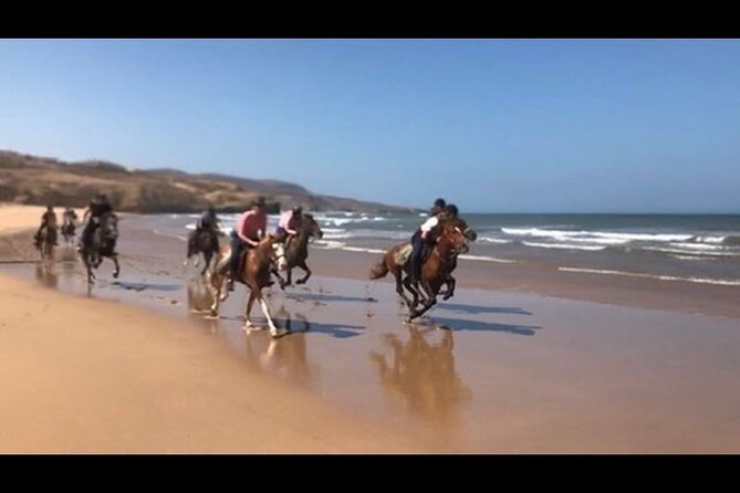 Horse Riding Agadir - Pickup and Meeting Points