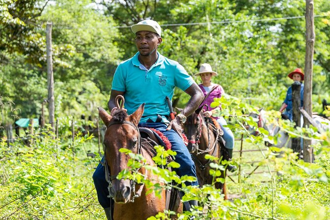 Horse Riding at La Mello Adventure Lodge - Participation Requirements