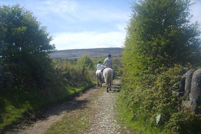 Horse Riding - Burren Trail. Lisdoonvarna, Co Clare. Guided. 3 Hours. - Included Amenities