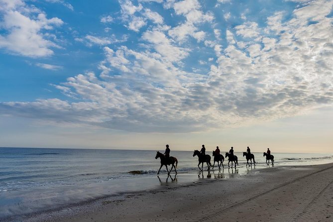 Horse Riding By The Beach With Hammam And Massage - What to Expect During Horse Riding
