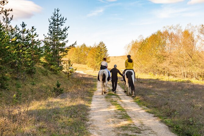 Horse Riding Experience From Bansko - Accessibility and Participation