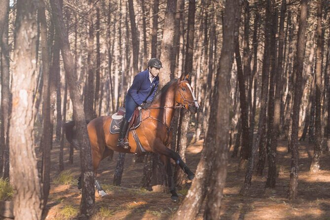 Horse Riding in the Countryside - Suitability and Accessibility