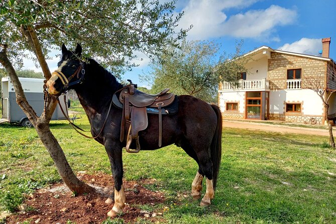 Horse Riding in the Gargano National Park - Meeting Point and Pickup Details