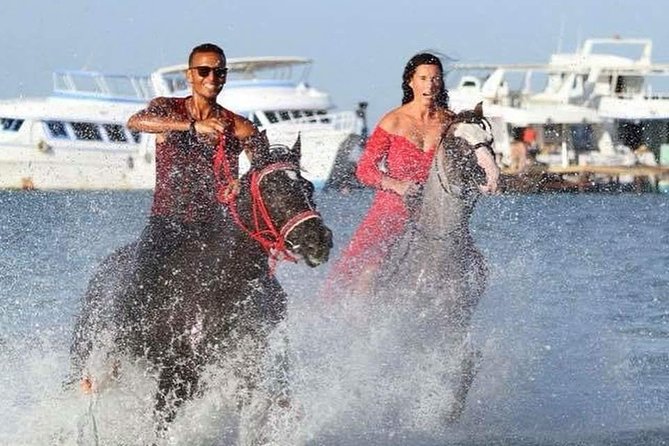 Horse Riding Tour on The Red Sea And Desert & Transfer-Hurghada - Customer Feedback