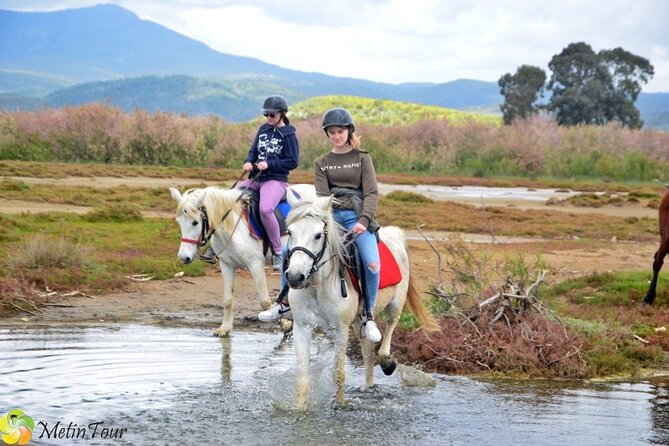 Horse Safari From Kusadasi - Pickup and Meeting Details