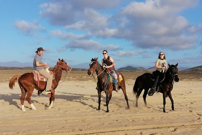 Horseback Riding - Location and Meeting Point