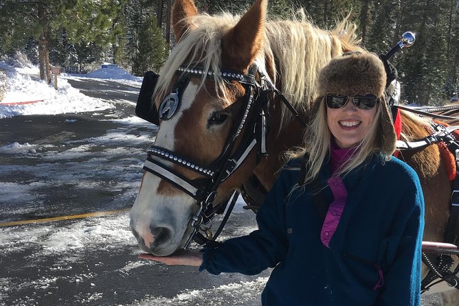 Horseback Riding Adventure From Reno - Participant Requirements