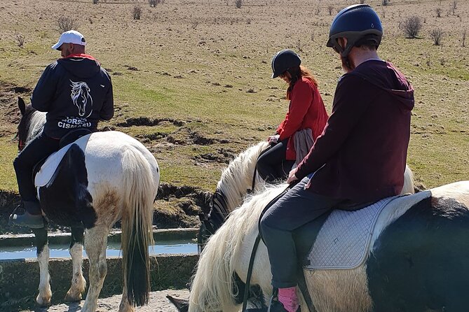 Horseback Riding Adventure Tour Through Brasov Landscape - Door-to-Door Transport and Lunch