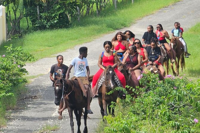 Horseback Riding at Hawksbill Beach in Five Islands Antigua - Scenic Views and Highlights