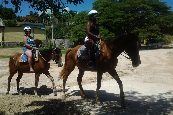 Horseback Riding Dunns River Falls Adventure From Montego Bay - Reviews and Feedback